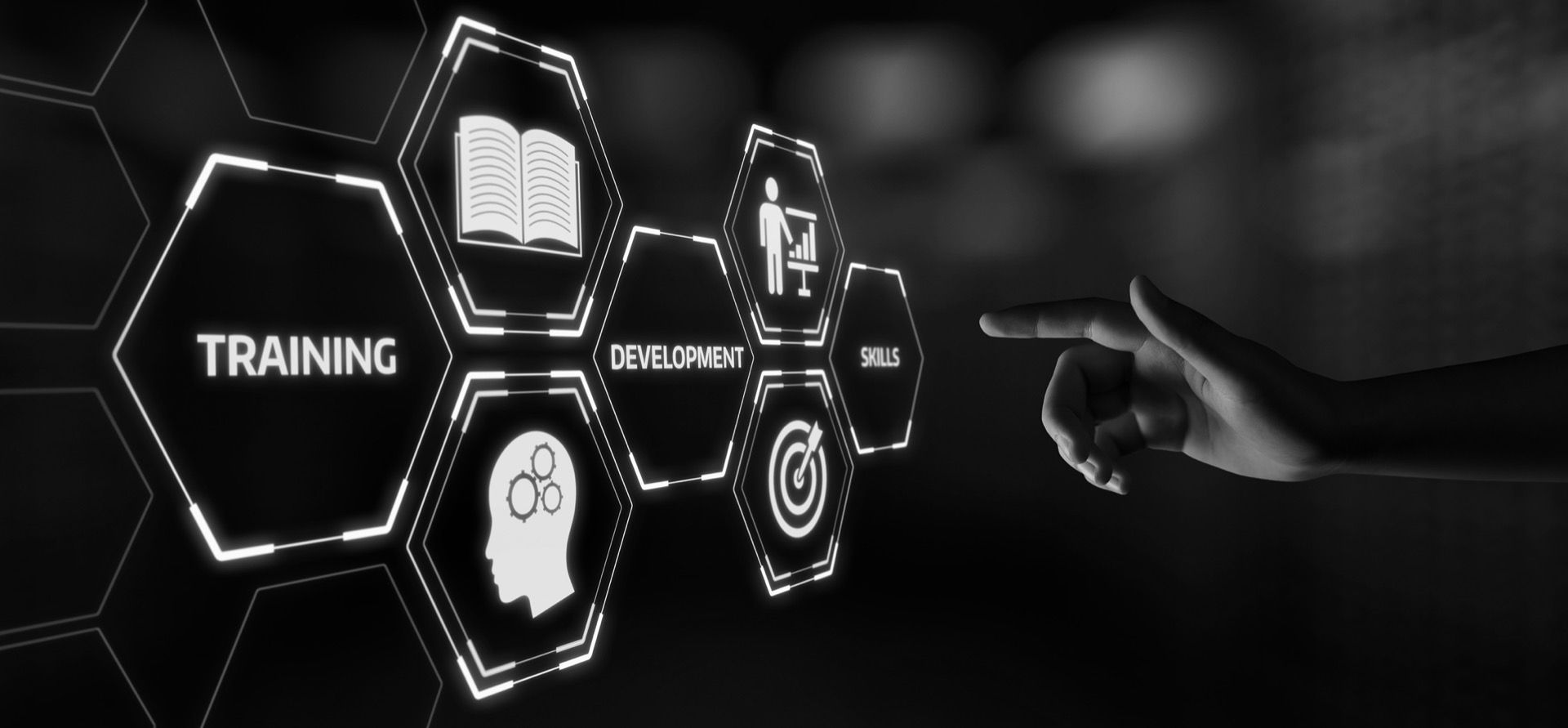 Custom Development Programmes